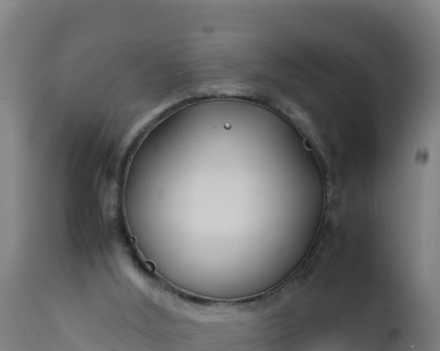 X0000112410012200908281825