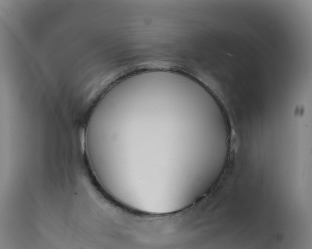 X0000112410013200908281825