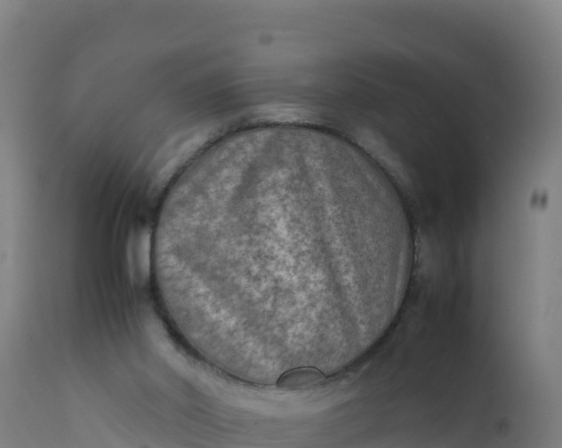 X0000112410014200908281825