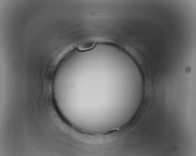 X0000112410015200908281825