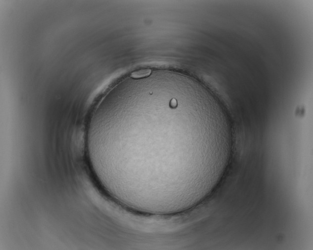 X0000112410016200908281825