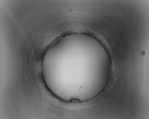 X0000112410017200908281825