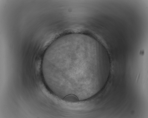 X0000112410018200908281825