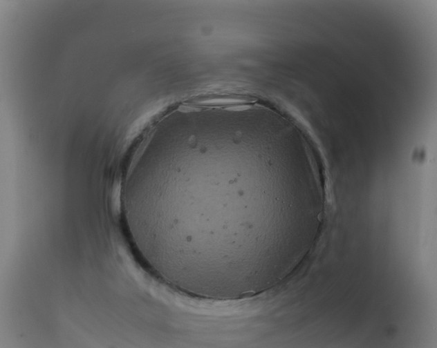 X0000112410019200908281825