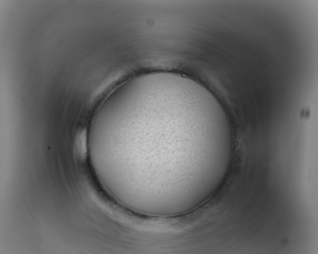 X0000112410020200908281825