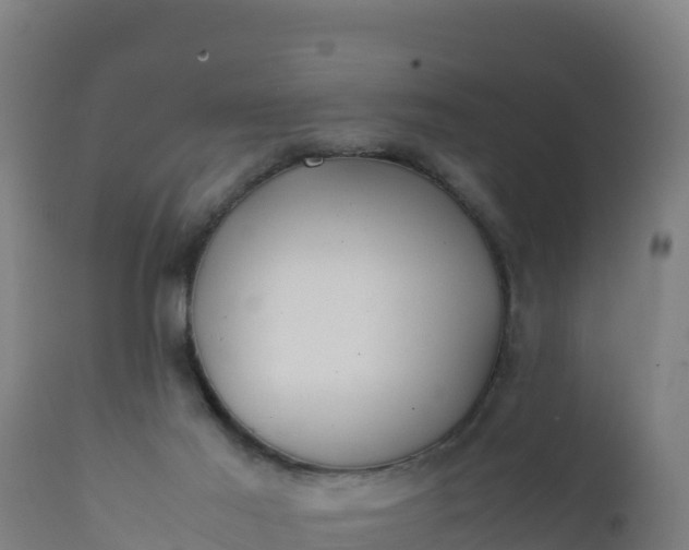 X0000112410021200908281825