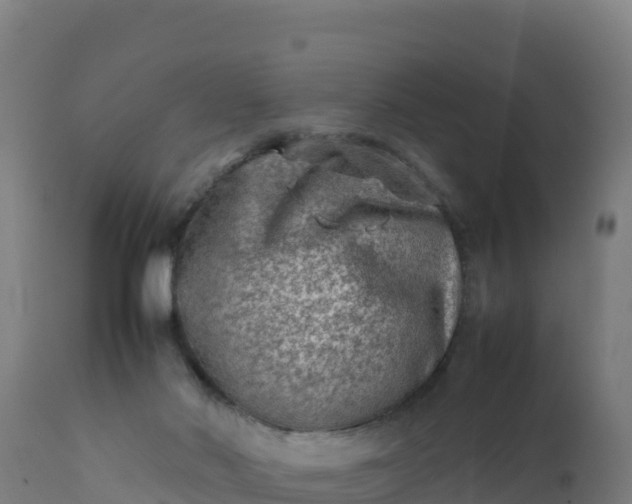 X0000112410022200908281825