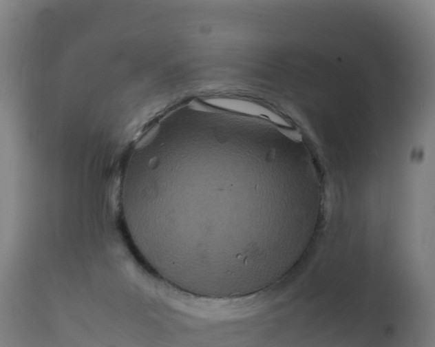 X0000112410023200908281825