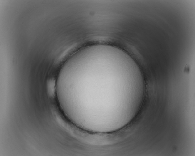 X0000112410024200908281825