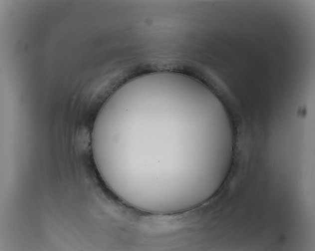 X0000112410025200908281825