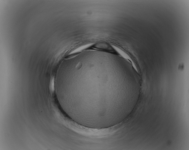 X0000112410027200908281825