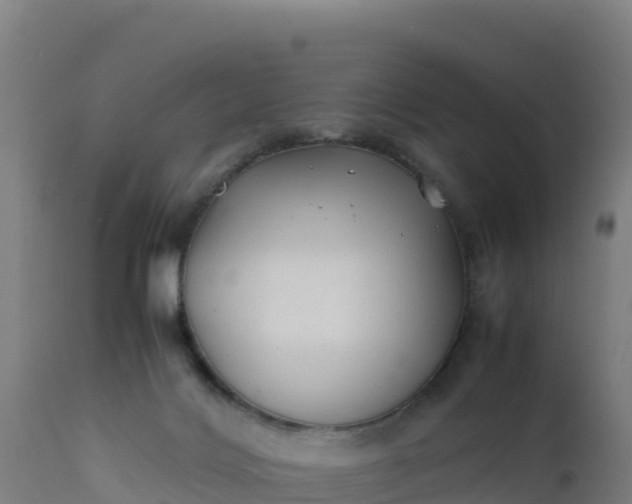 X0000112410028200908281825