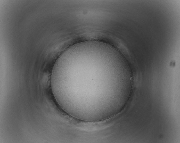 X0000112410029200908281825