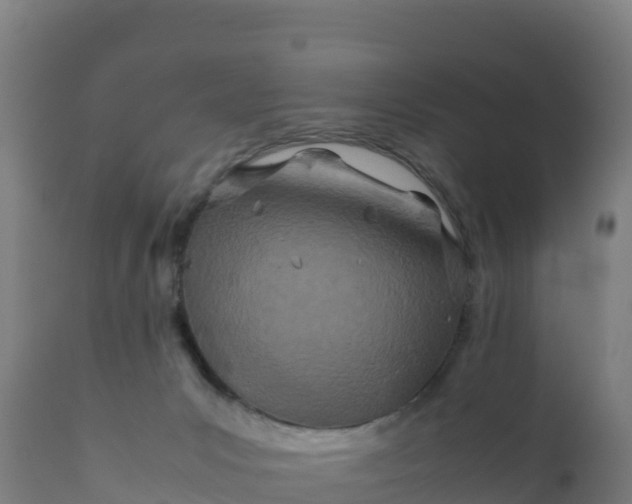 X0000112410031200908281825