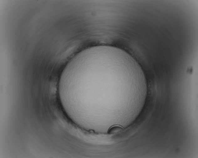 X0000112410032200908281825