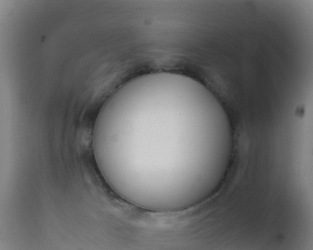 X0000112410033200908281825