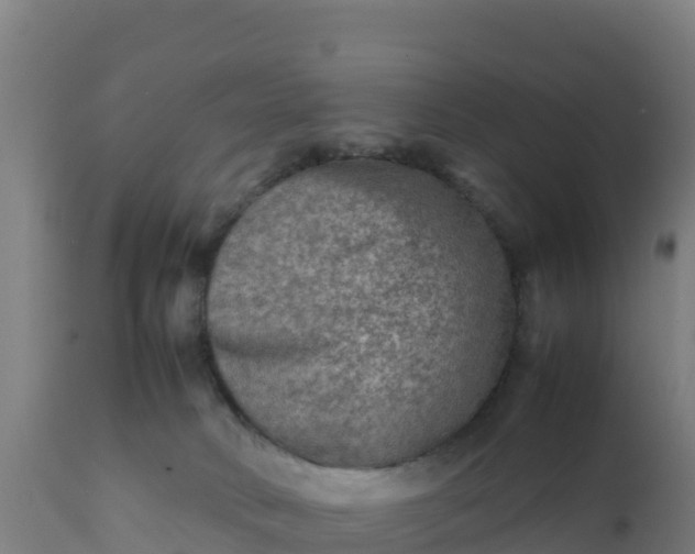 X0000112410034200908281825