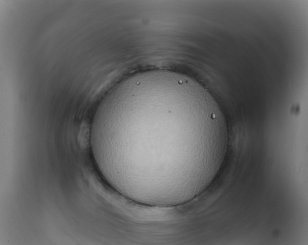 X0000112410036200908281825