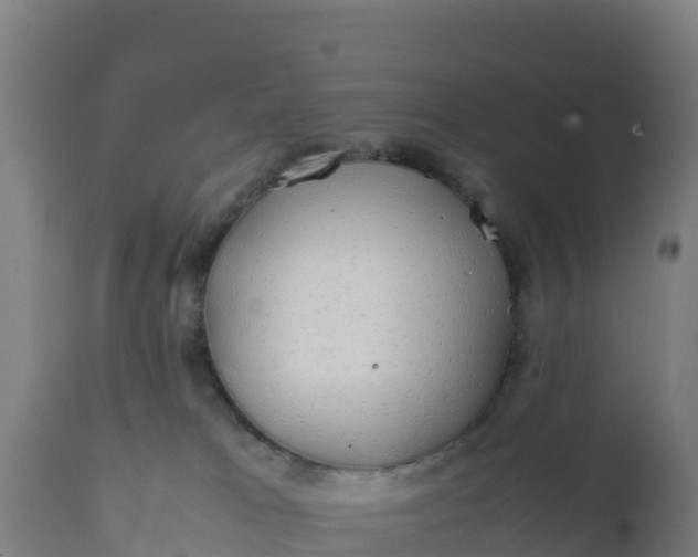 X0000112410037200908281825