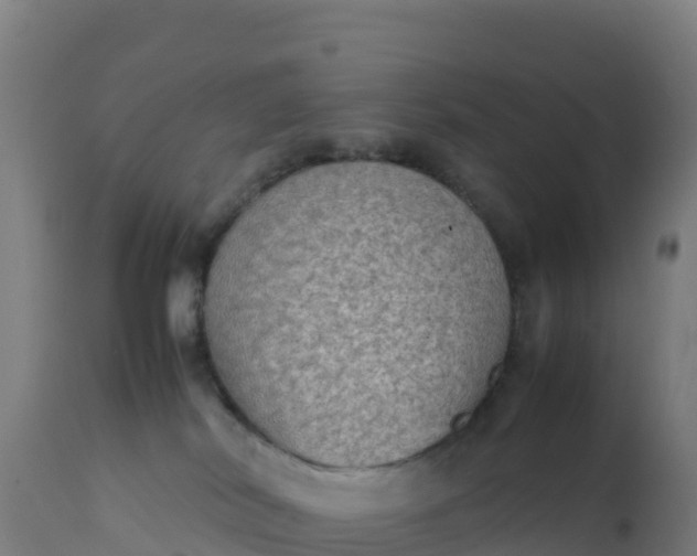 X0000112410038200908281825