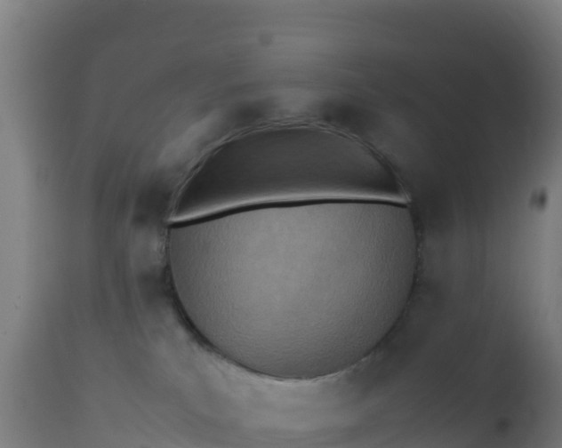 X0000112410039200908281825