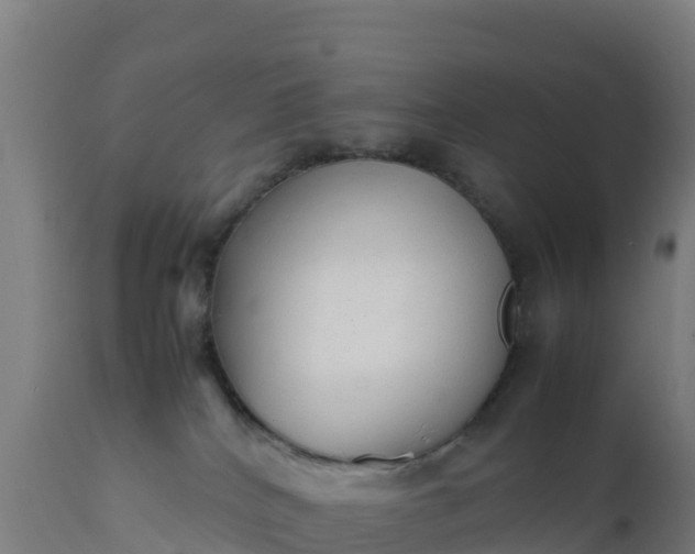 X0000112410040200908281825