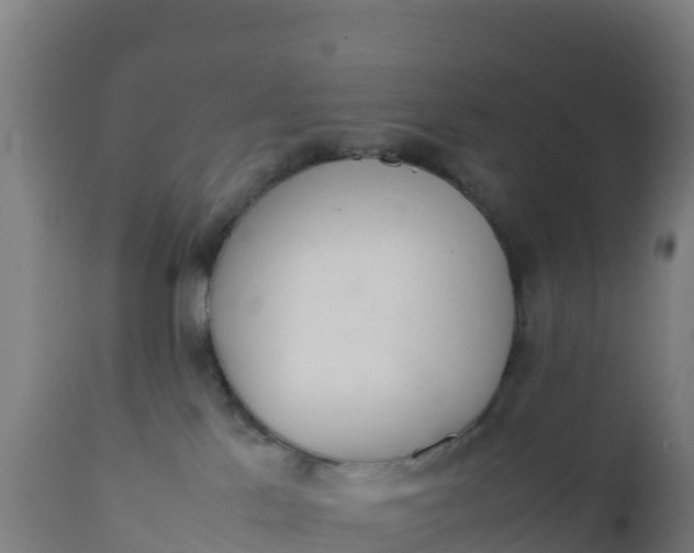 X0000112410041200908281825