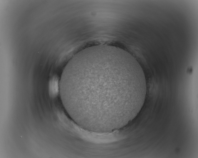 X0000112410042200908281825