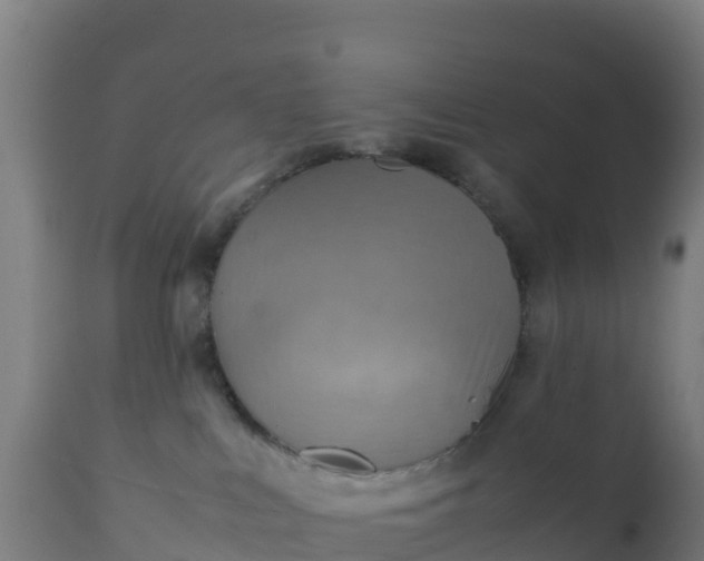 X0000112410043200908281825