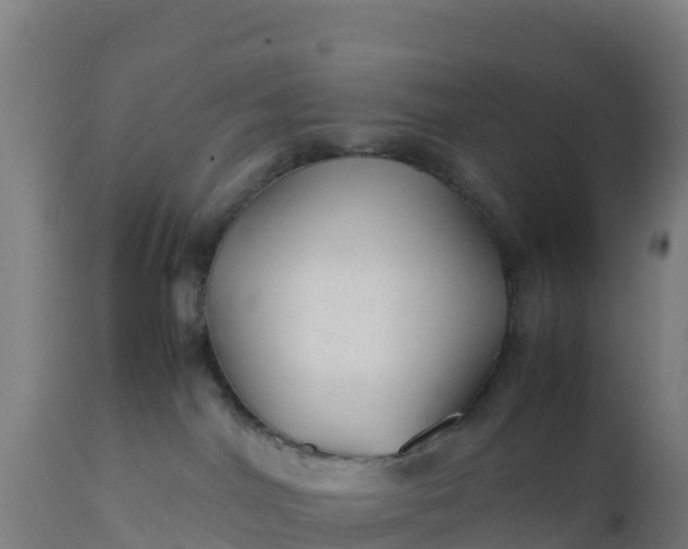 X0000112410044200908281825