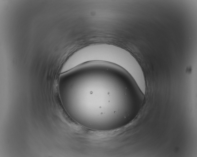 X0000112410045200908281825