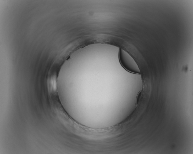 X0000112410046200908281825