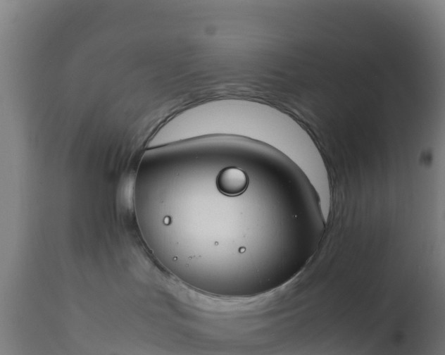 X0000112410047200908281825