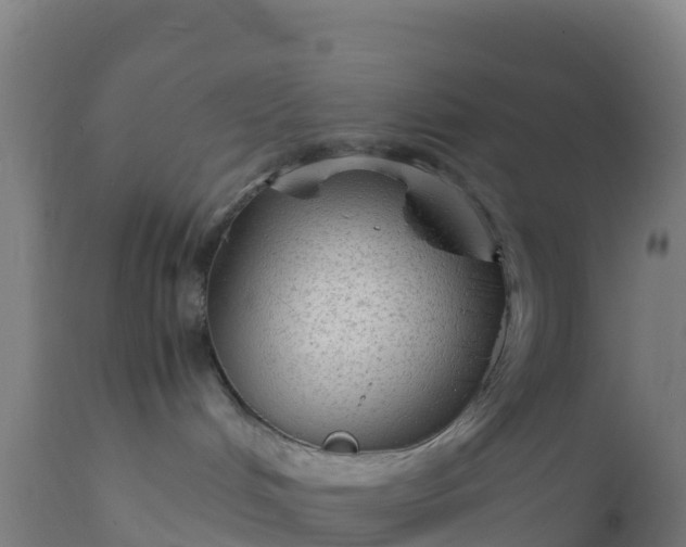 X0000112410048200908281825