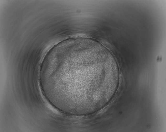 X0000112410049200908281824