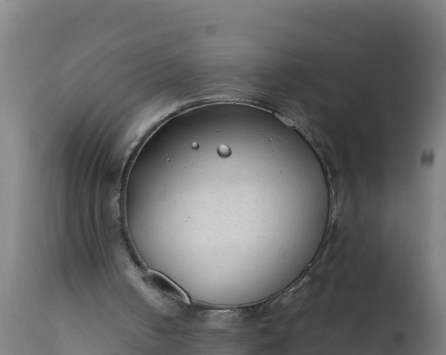 X0000112410050200908281824