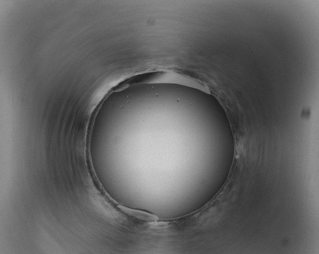 X0000112410052200908281824