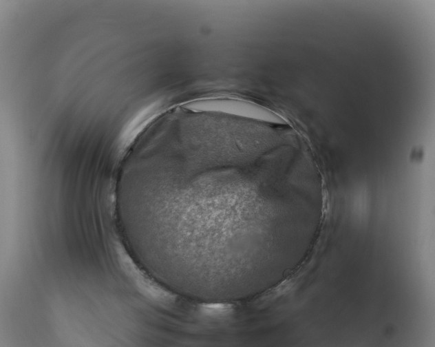 X0000112410053200908281824