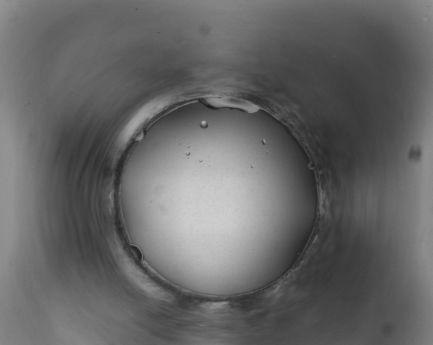 X0000112410054200908281824