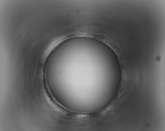 X0000112410055200908281824