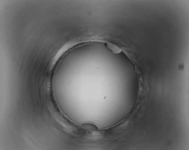 X0000112410056200908281824