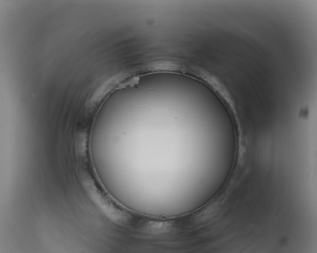 X0000112410057200908281824