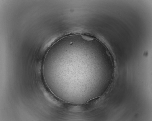 X0000112410058200908281824