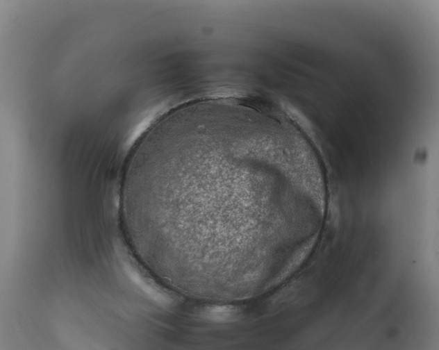 X0000112410059200908281824