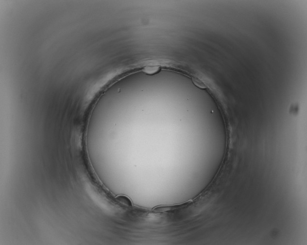 X0000112410060200908281824