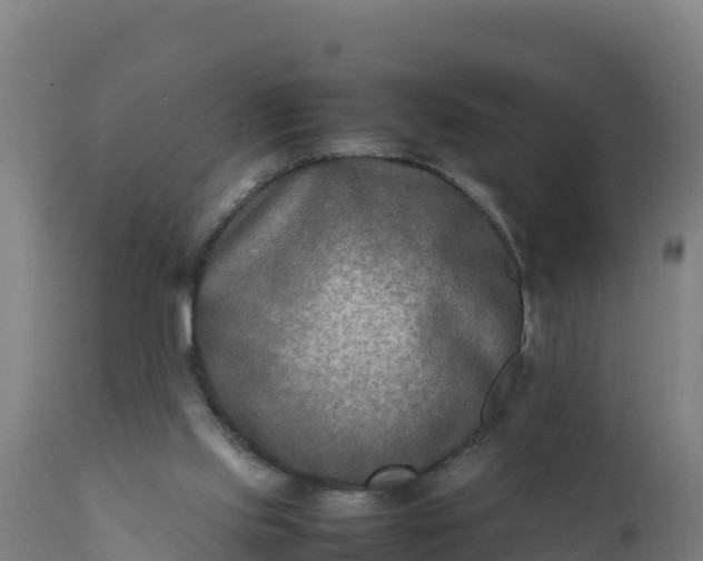 X0000112410061200908281824