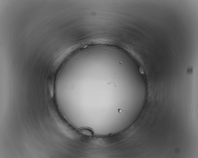 X0000112410062200908281824