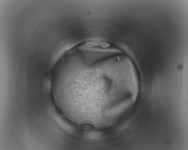 X0000112410063200908281824