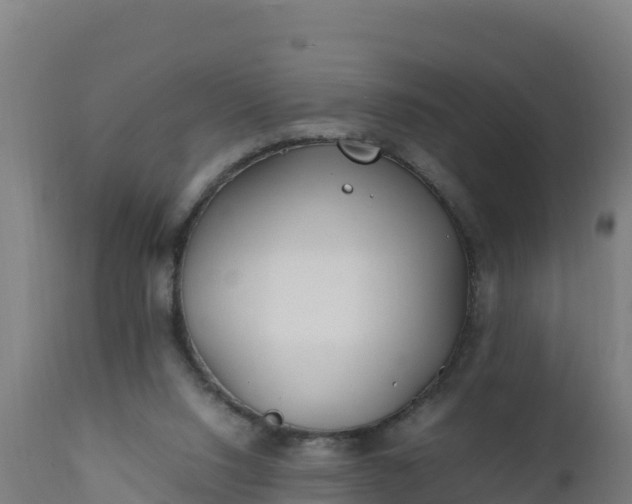 X0000112410064200908281824