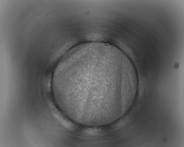 X0000112410065200908281824